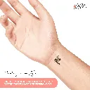 3.webp